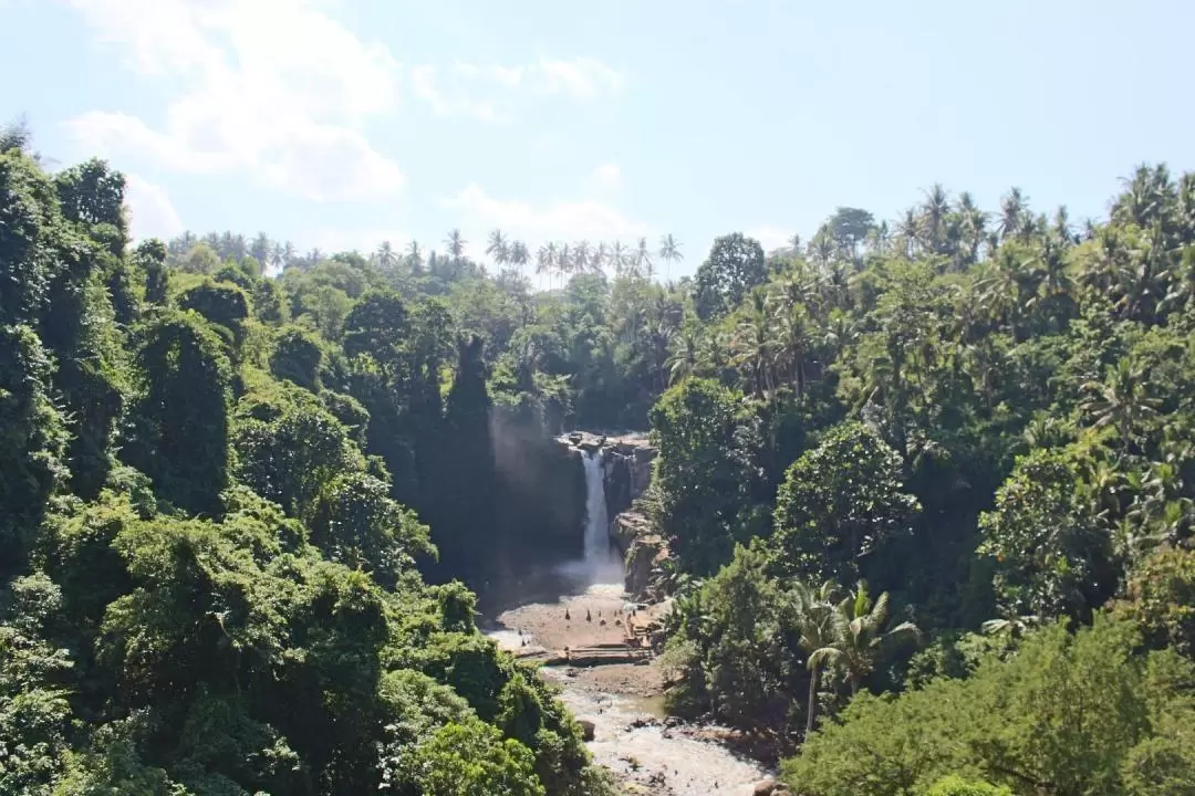 Bali Swing and Waterfall Full Day Tour in Ubud