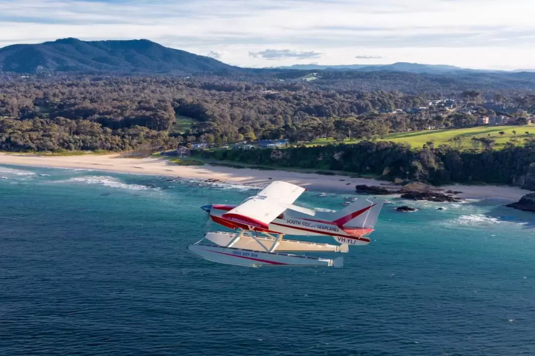 Southern Beaches Seaplane Flight on the South Coast