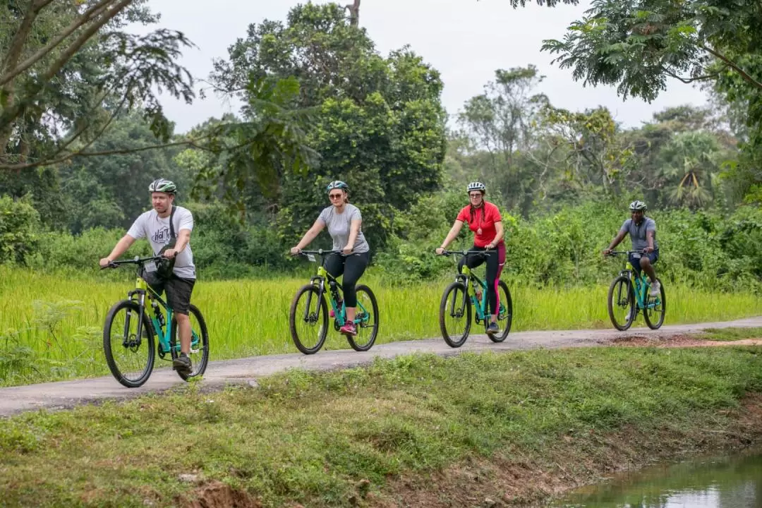 Angkor Wat Sunrise Bike Tour - inclusive Meals