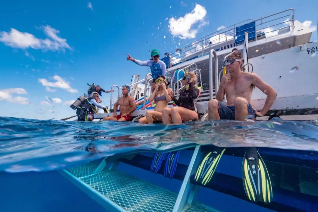 Low Isles Snorkeling Experience from Port Douglas