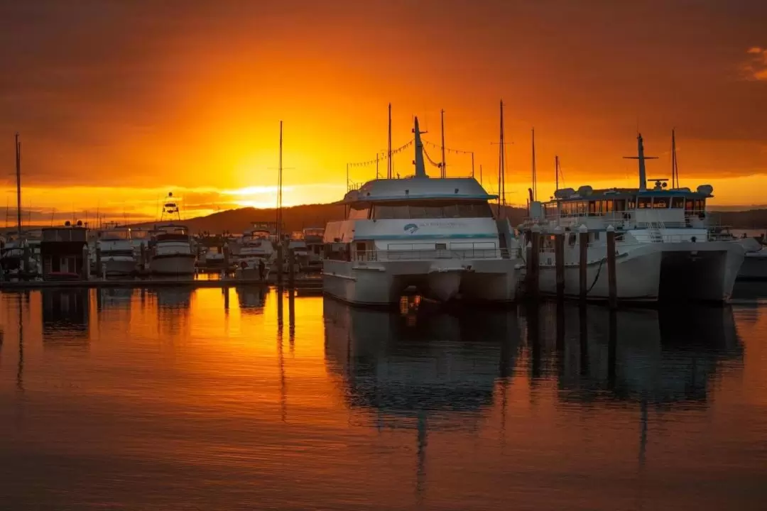 Port Stephens Eats 'N' Beats Dining Cruise Experience