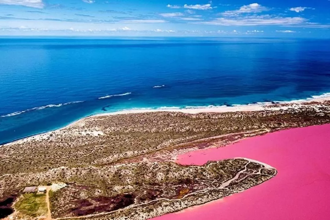 Hutt Lagoon Pink Lake Scenic Flight Experience from Kalbarri 