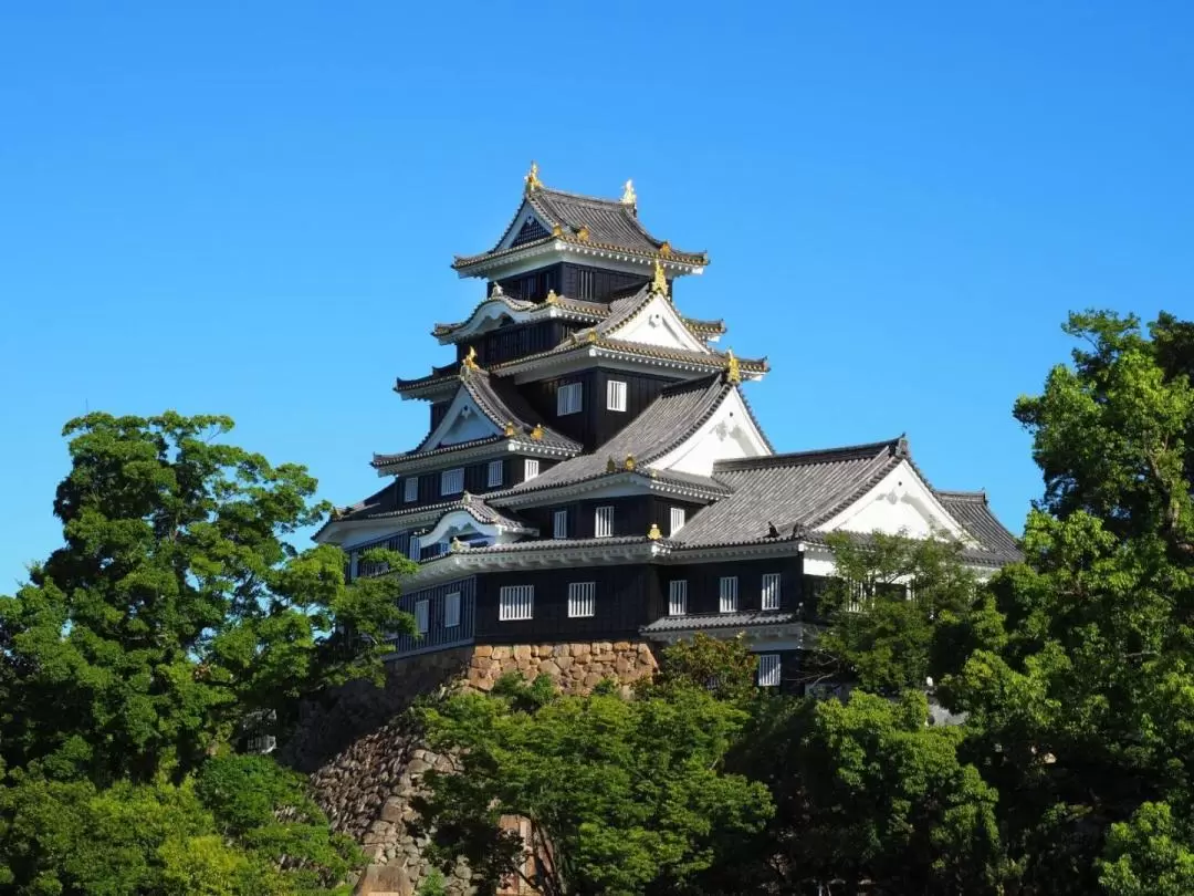 Okayama Castle Ticket