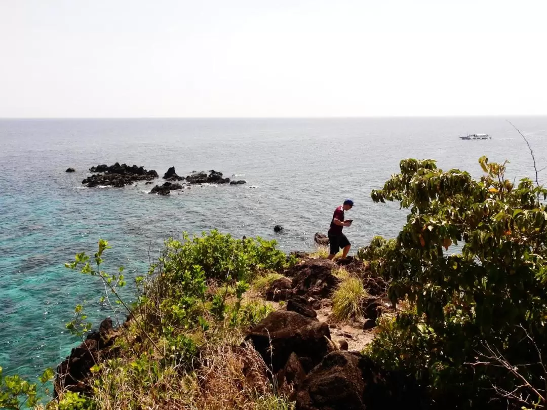 Apo Island Snorkeling Private Tour from Dumaguete