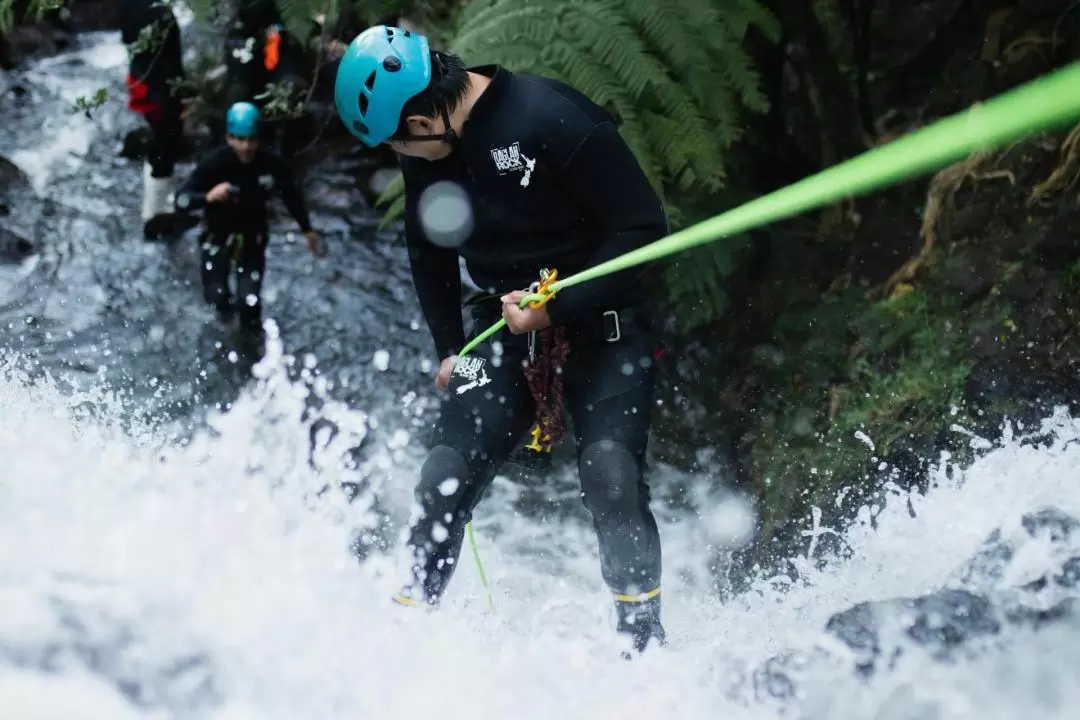 Karioi Canyoning Adventure