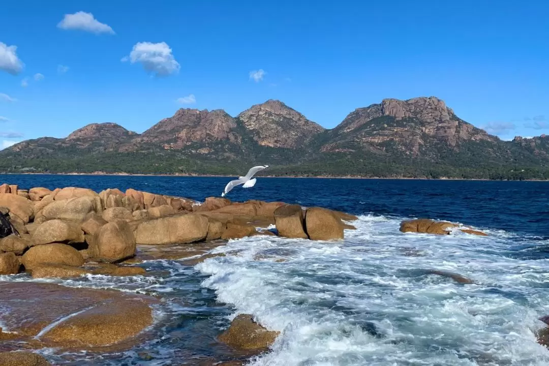 Iconic East Coast Day Tour from Hobart