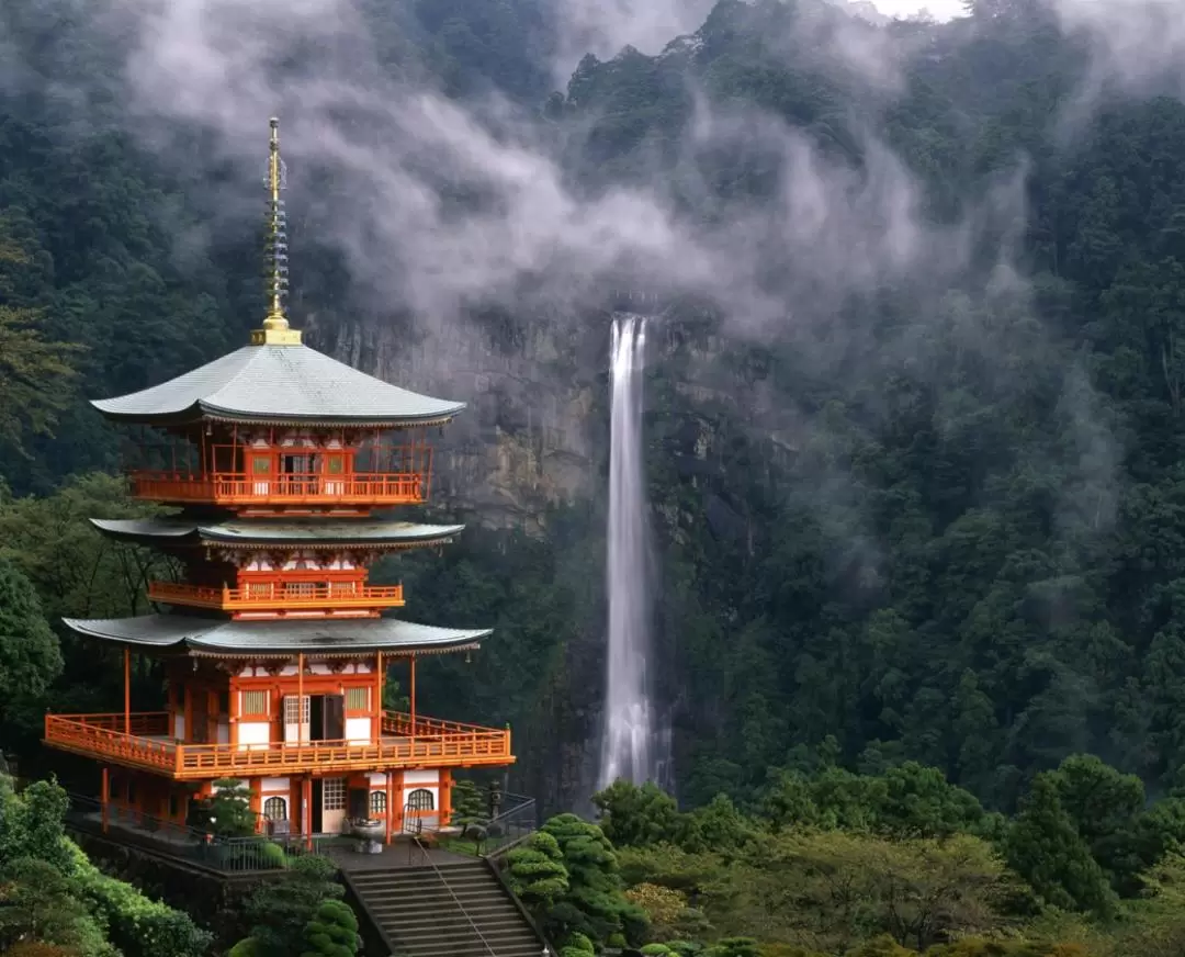 世界遺産熊野古道 ウォーキングツアー