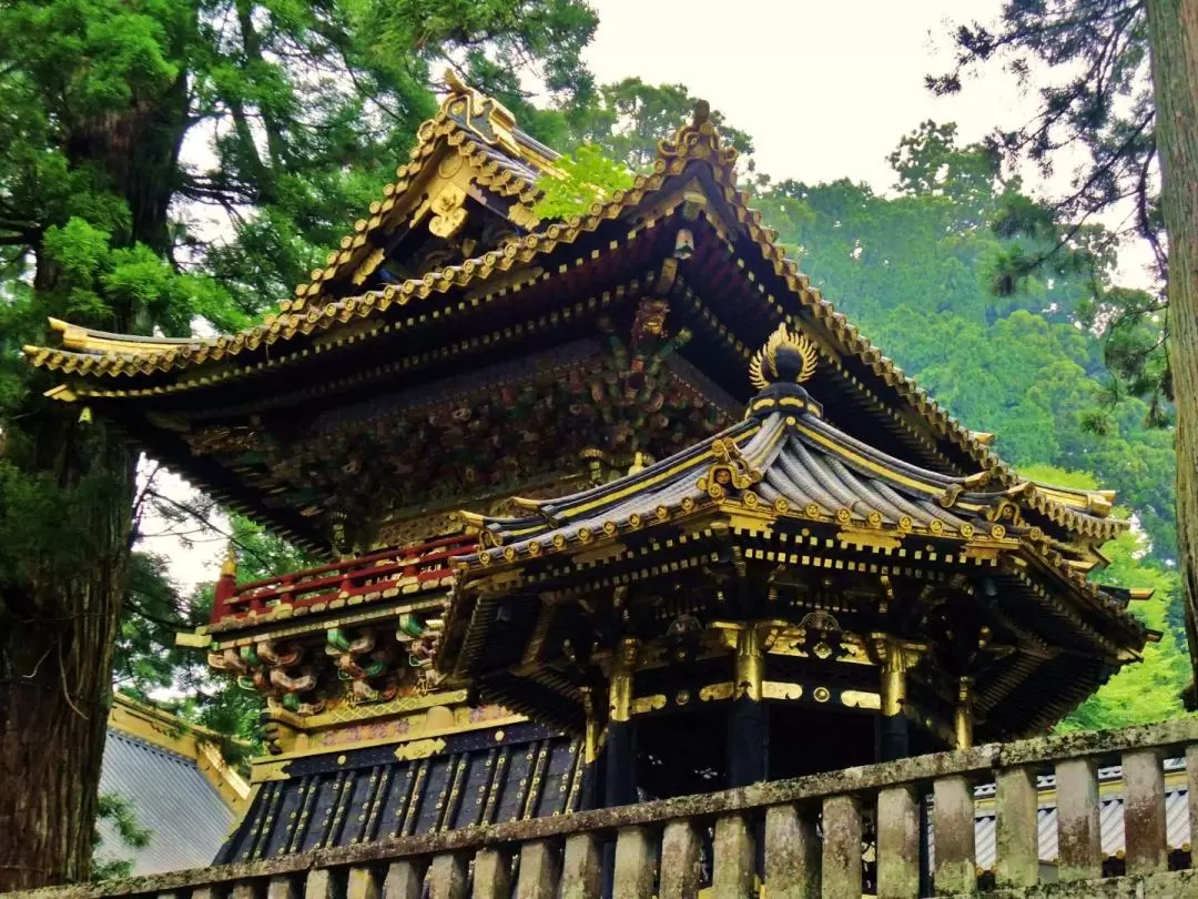 Nikko World Heritage Day Tour from Tokyo