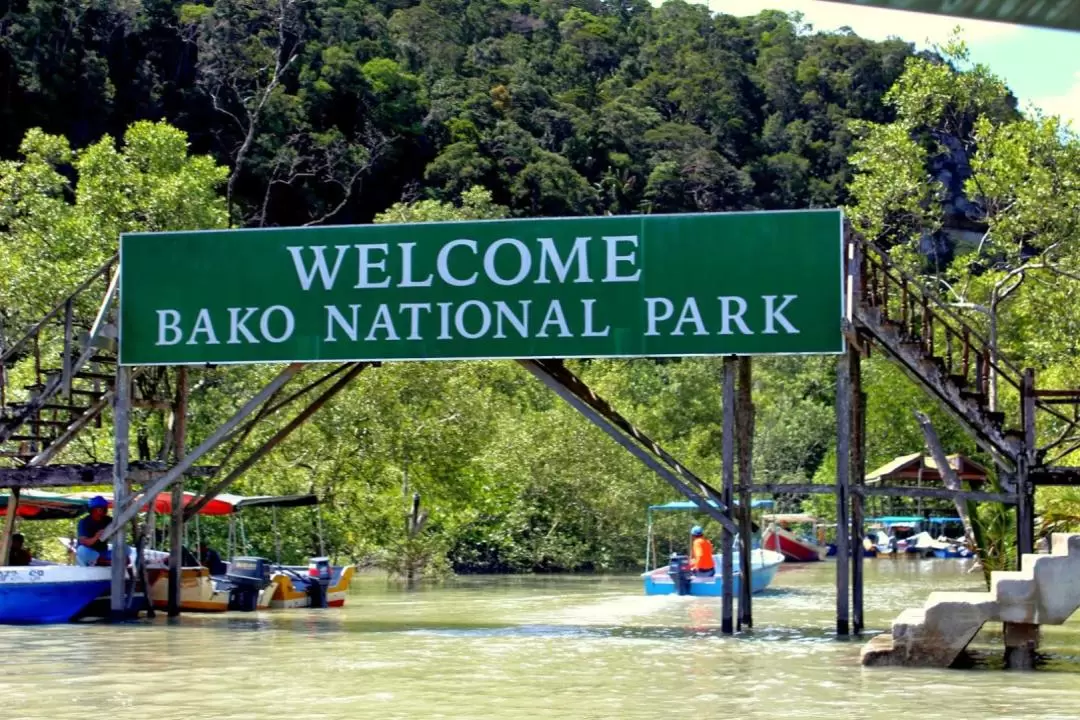 Bako National Park with Sea Stack Formation Day Tour in Kuching