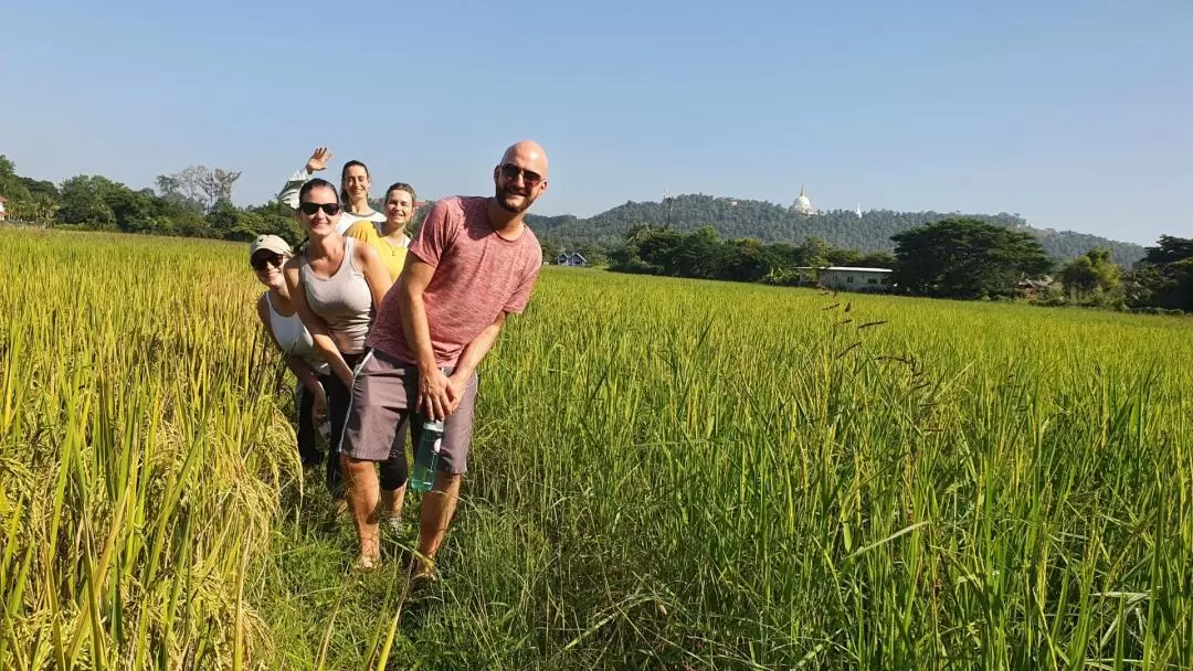 Half-Day Yoga, Meditation, and Immersion in Thai Culture at Chiang Mai