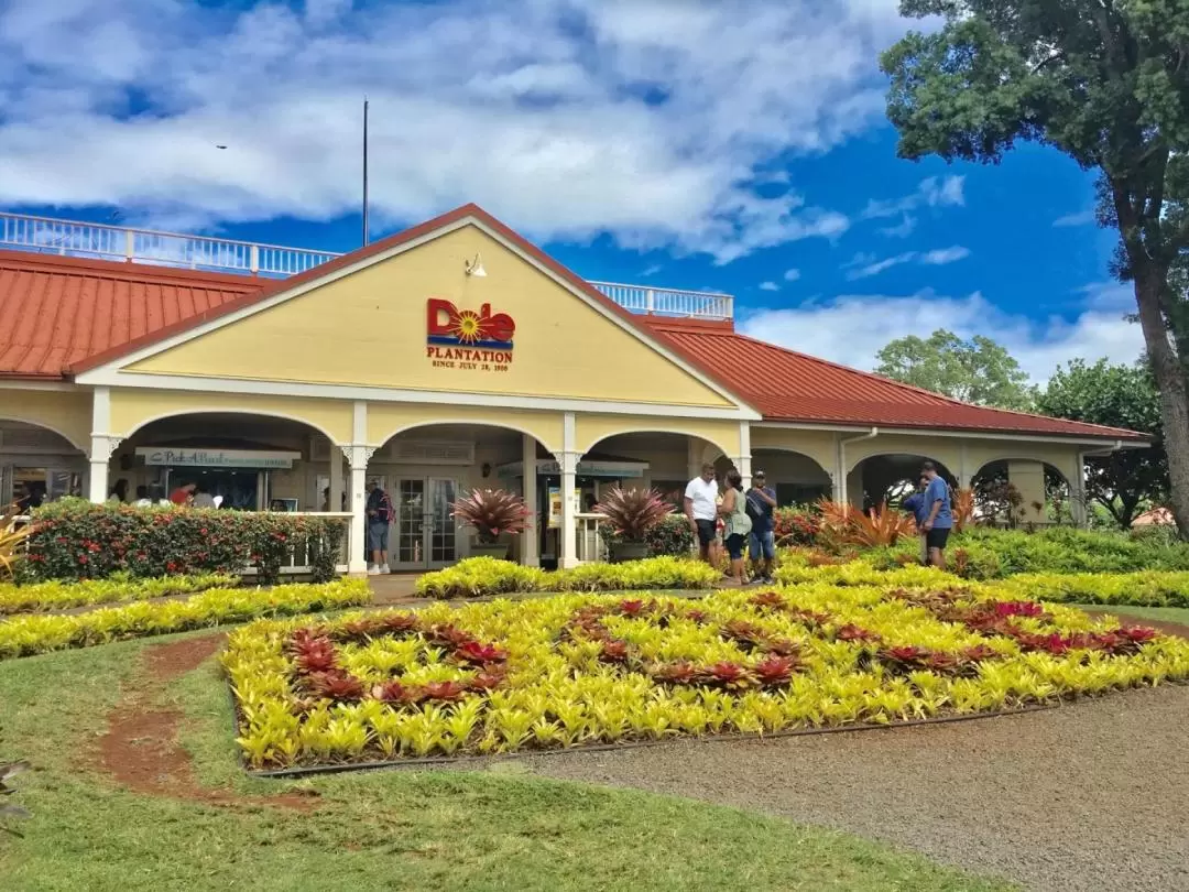Oahu North Shore and Dole Plantation Half Day Trip from Honolulu