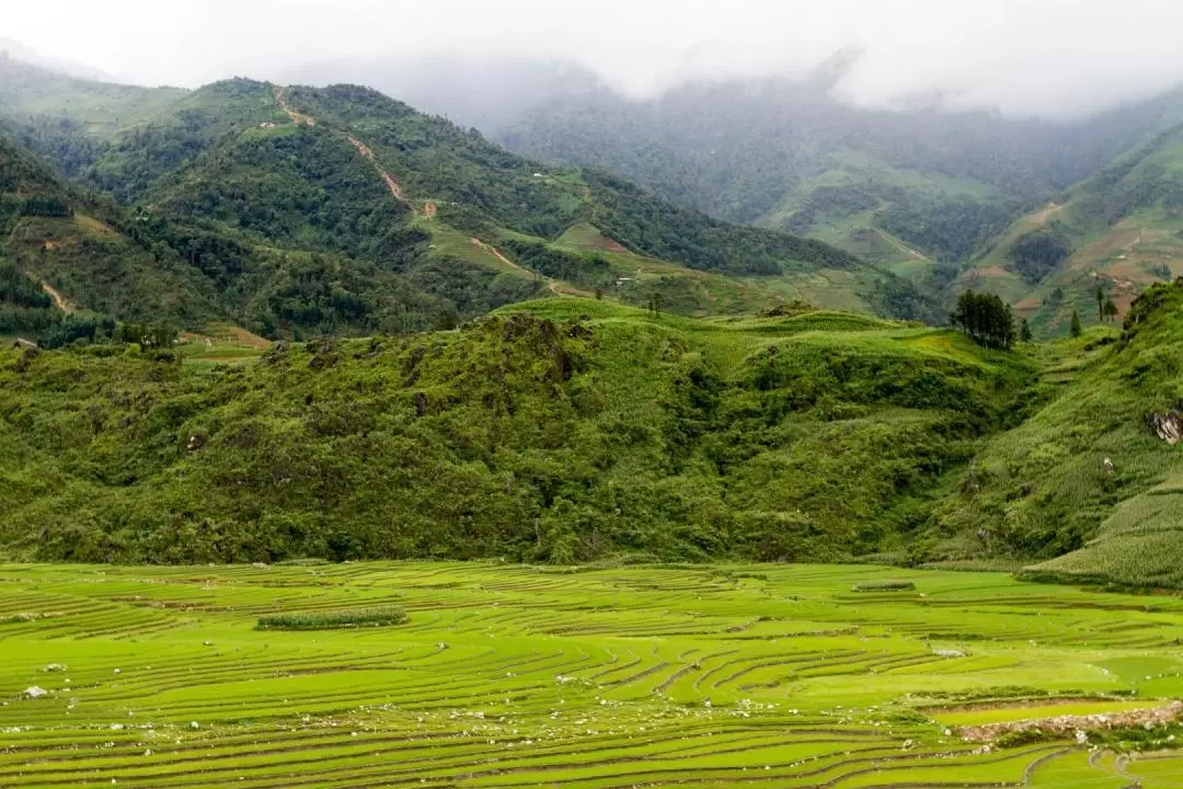 Ma Tra and Ta Phin Village Private Trekking Tour from Sapa