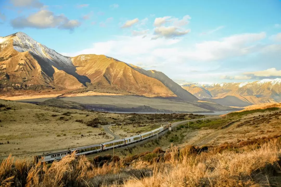 TranzAlpine Ticket between Christchurch and Greymouth