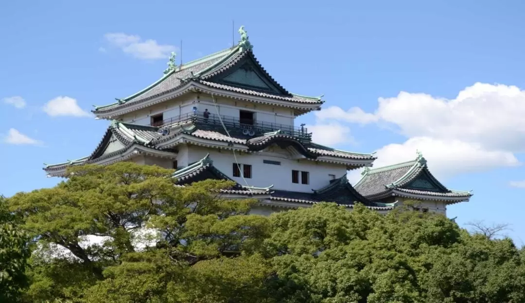 Nara, Todaiji Temple & Kuroshio Market One Day Tour from Osaka