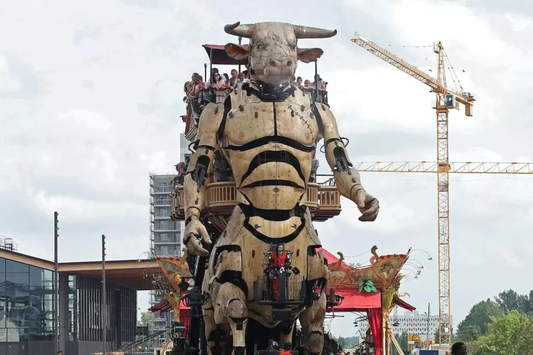 La Halle de la Machine Admission in Toulouse