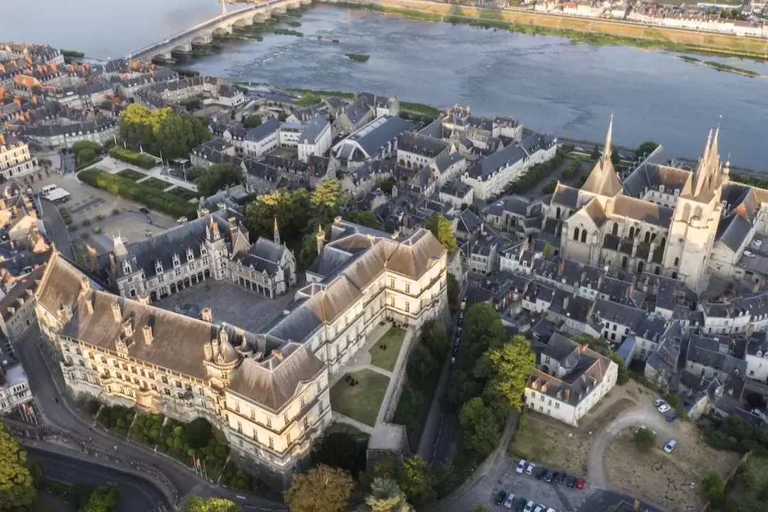 Chateau Royal de Blois Admission in Blois