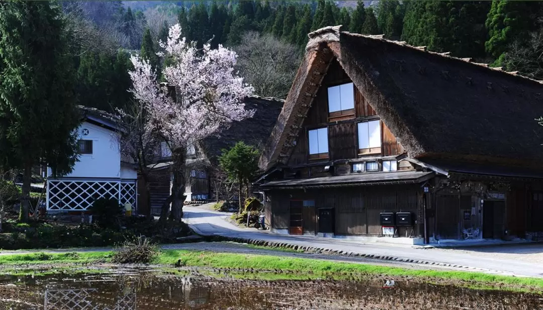 世界遺産「白川郷」と飛騨高山を巡る日帰りツアー (名古屋発)