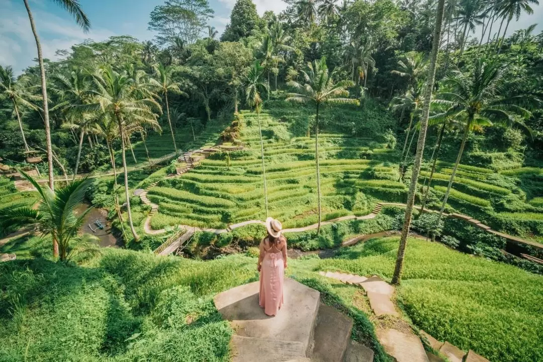 Alas Harum Bali in Tegallalang Ubud