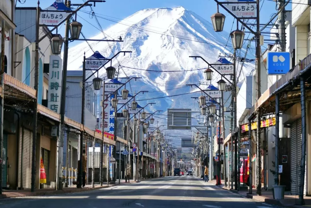 Mt. Fuji Hakone Area Highlight Spots Customized Tour | Hotel Pick Up