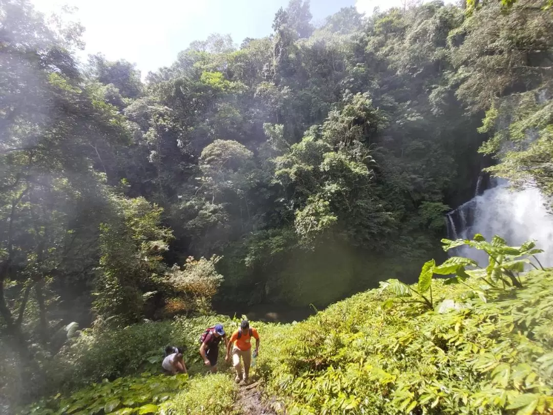 Seven Wonder Waterfalls Trekking Day Tour In North Bali