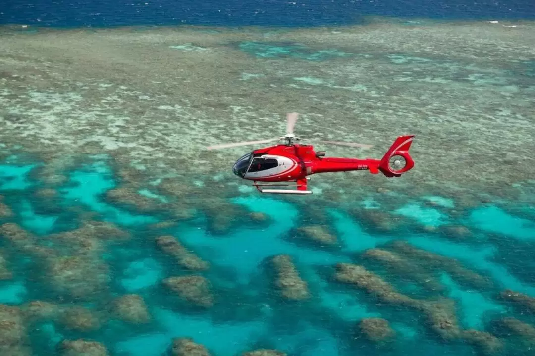 Great Barrier Reef Snorkel, Dive & Helicopter Full Day Tour