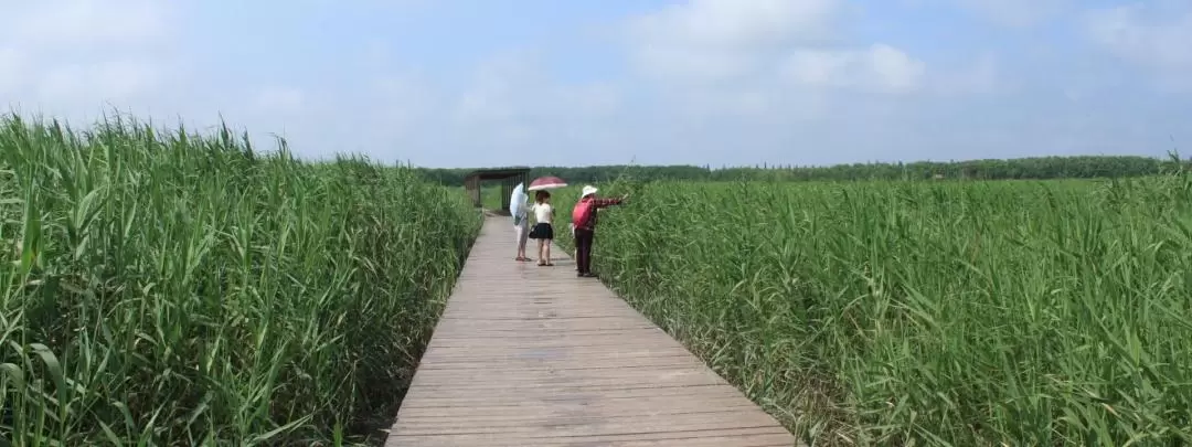 崇明島 1日サイクリングツアー（上海発）