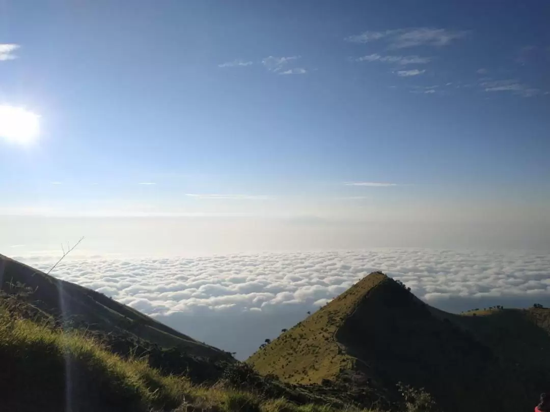 Mount Sumbing or Mount Sindoro Hiking Experience from Yogyakarta