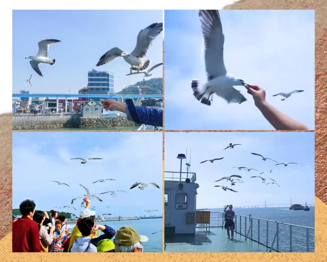 仁川 桜まつり・チャイナタウン・沿岸レールバイク 日帰りツアー（ソウル発）