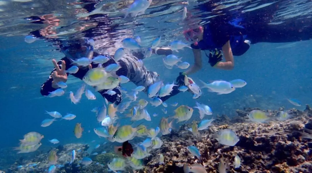 Stand Up Paddle Board Lesson and Guided Snorkeling Experience in Guam