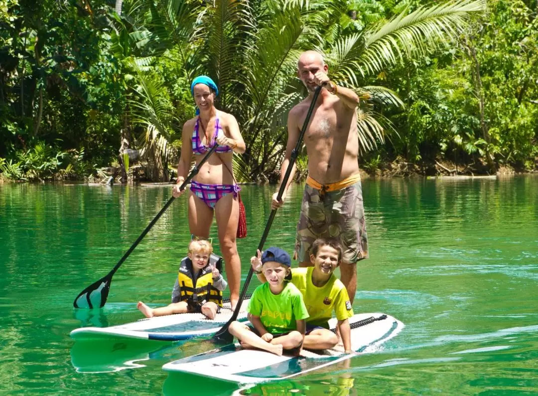 Loboc River Stand Up Paddle Adventure in Bohol