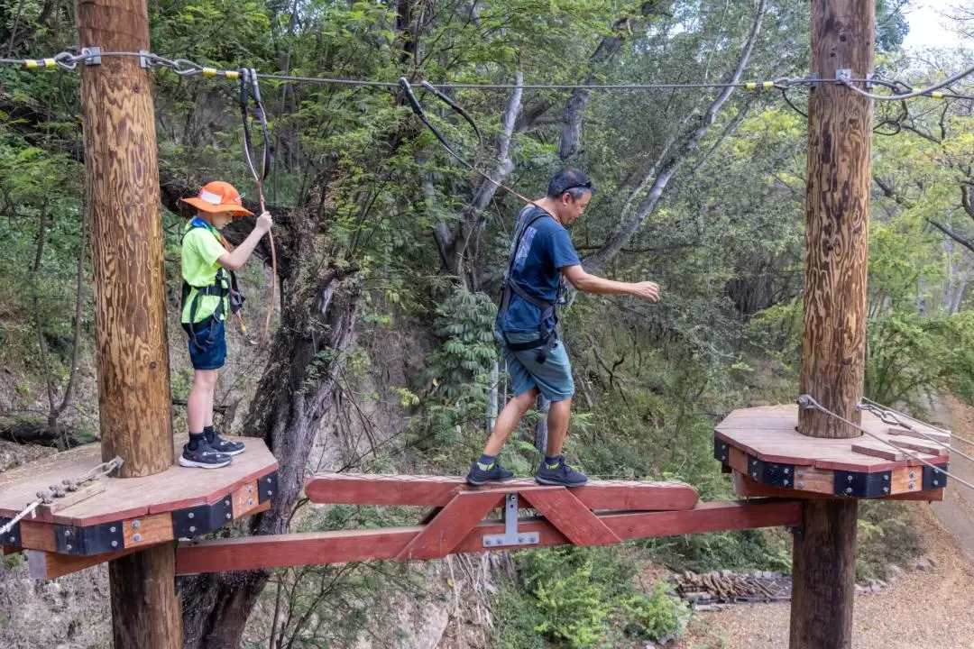 Coral Crater Adventure Tower Admission in Oahu