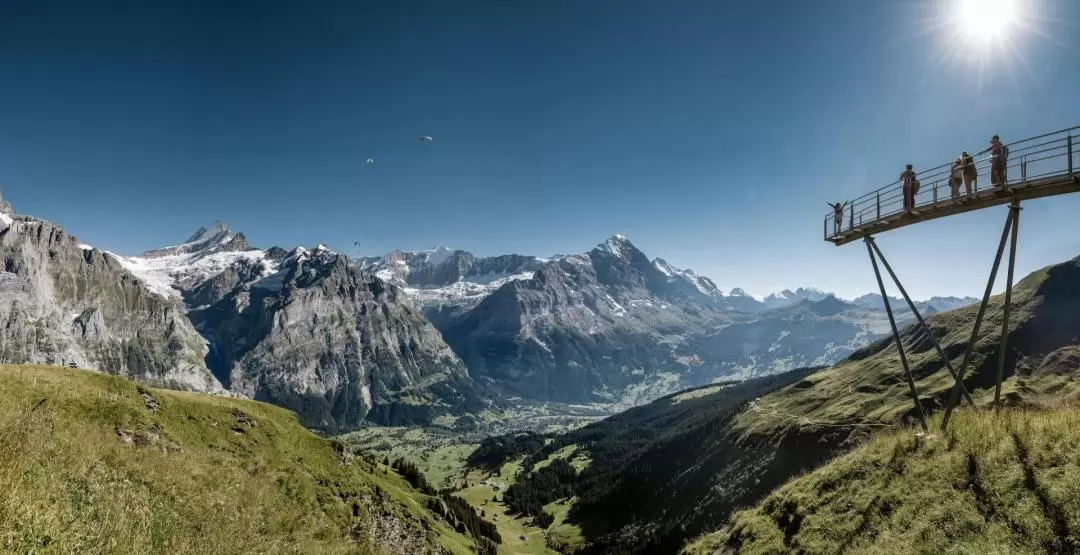 Grindelwald Mount First - Top of Adventure Cable Car Ticket 