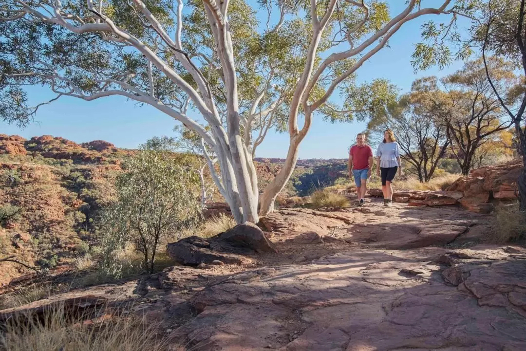 Kings Canyon and Outback Panoramas Tour from Alice Springs