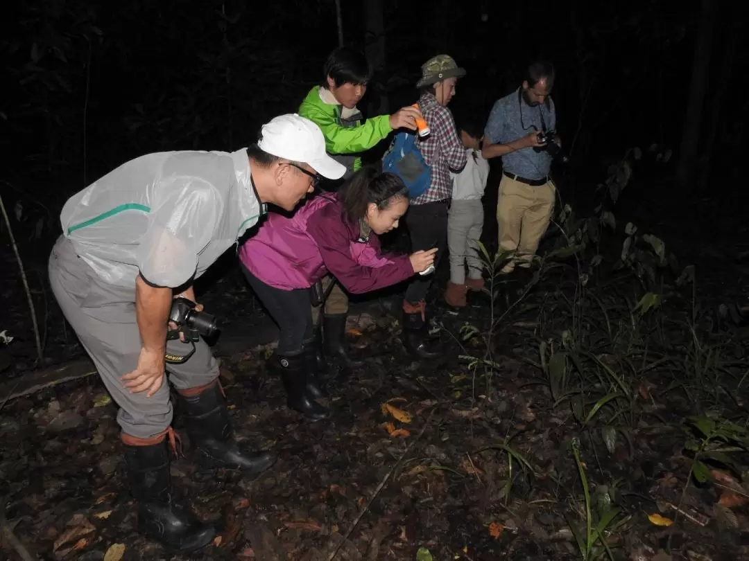 山打根4日3夜西必洛野生動物探索＋基納巴唐河船遊之旅