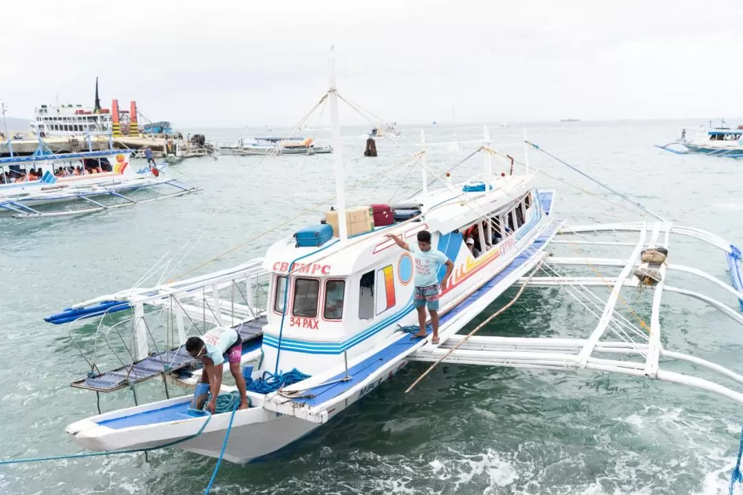 Shared Godofredo P. Ramos Airport Transfers (MPH) to Boracay