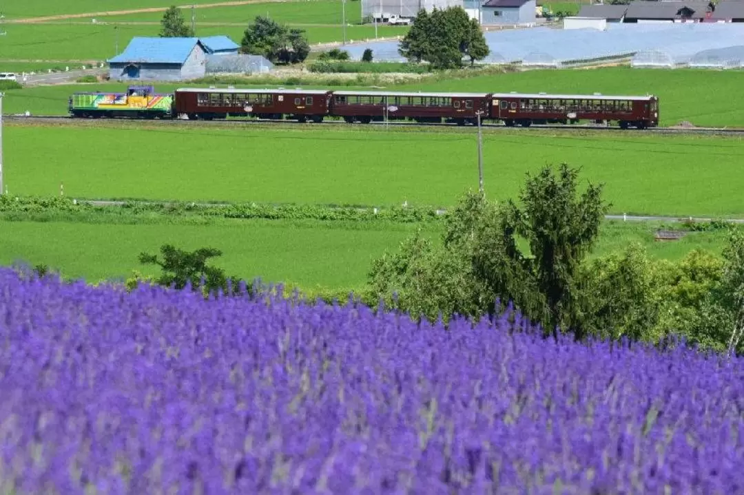 JR Hokkaido Sapporo-Furano Area Pass 