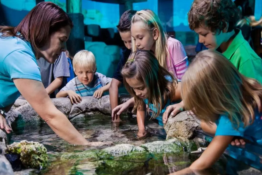 奧蘭多海洋生物水族館門票