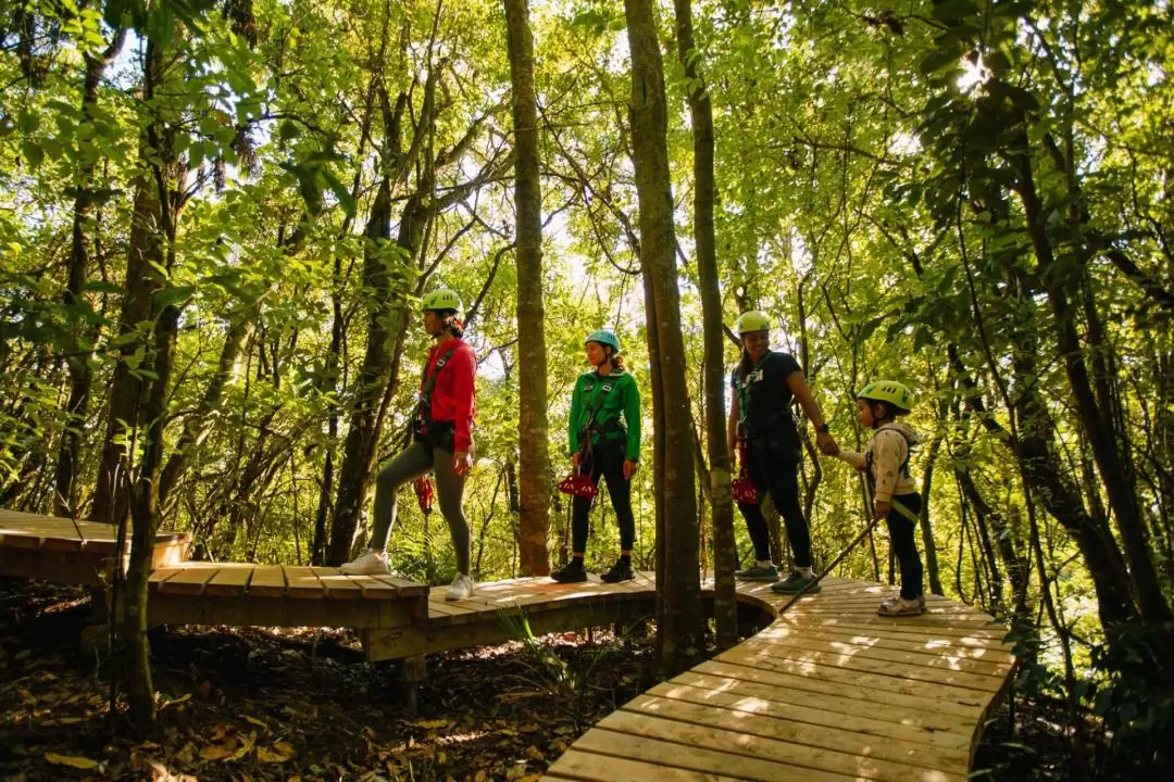 Okere Falls Zipline Experience in Rotorua