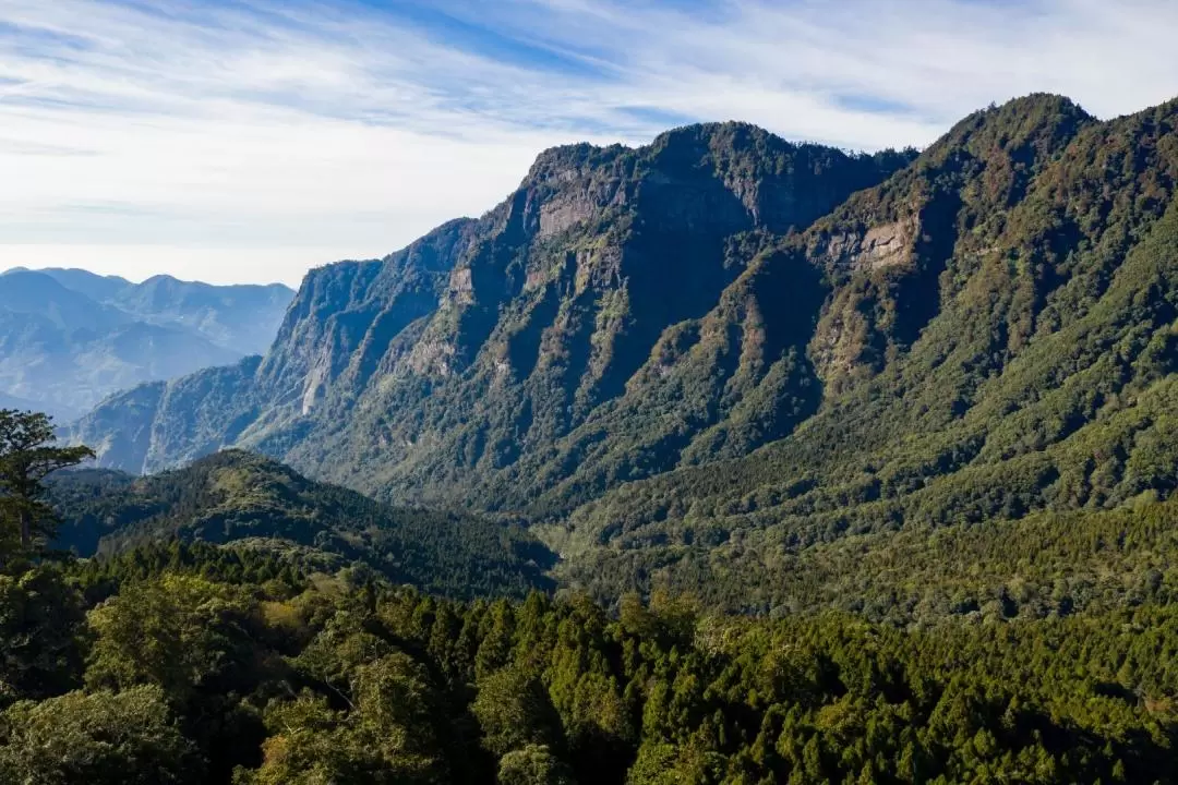 Alishan Forest Railway Day Tour from Taichung 