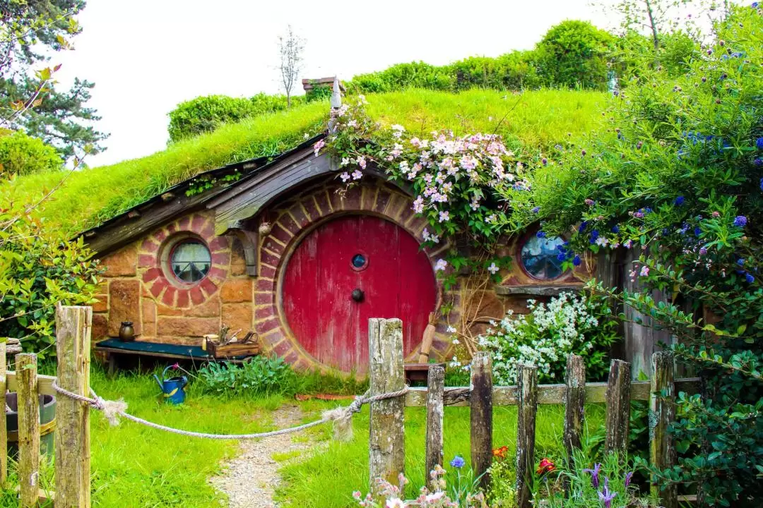 Hobbiton and Waitomo Caves Tour