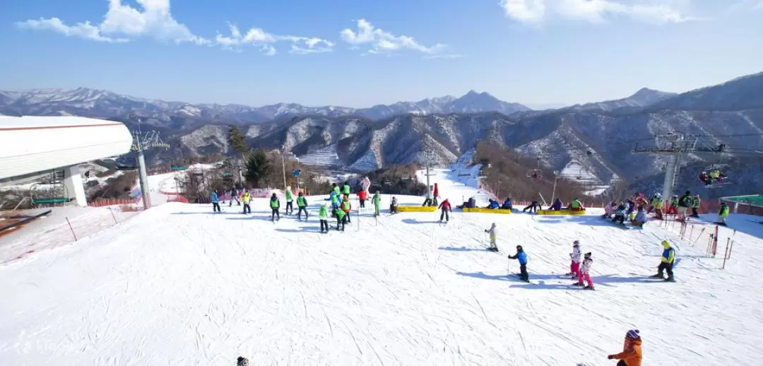 Jisan Forest, Yangji Pine, Konjiam, Bears Town Ski Resort Private Car Charter from Seoul 