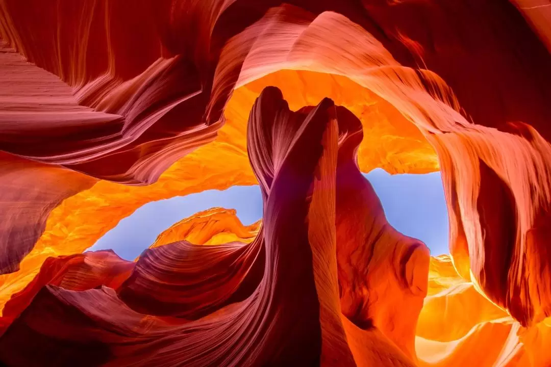 Lower Antelope Canyon, Horseshoe Bend, & Lake Powell with Lunch Day Tour