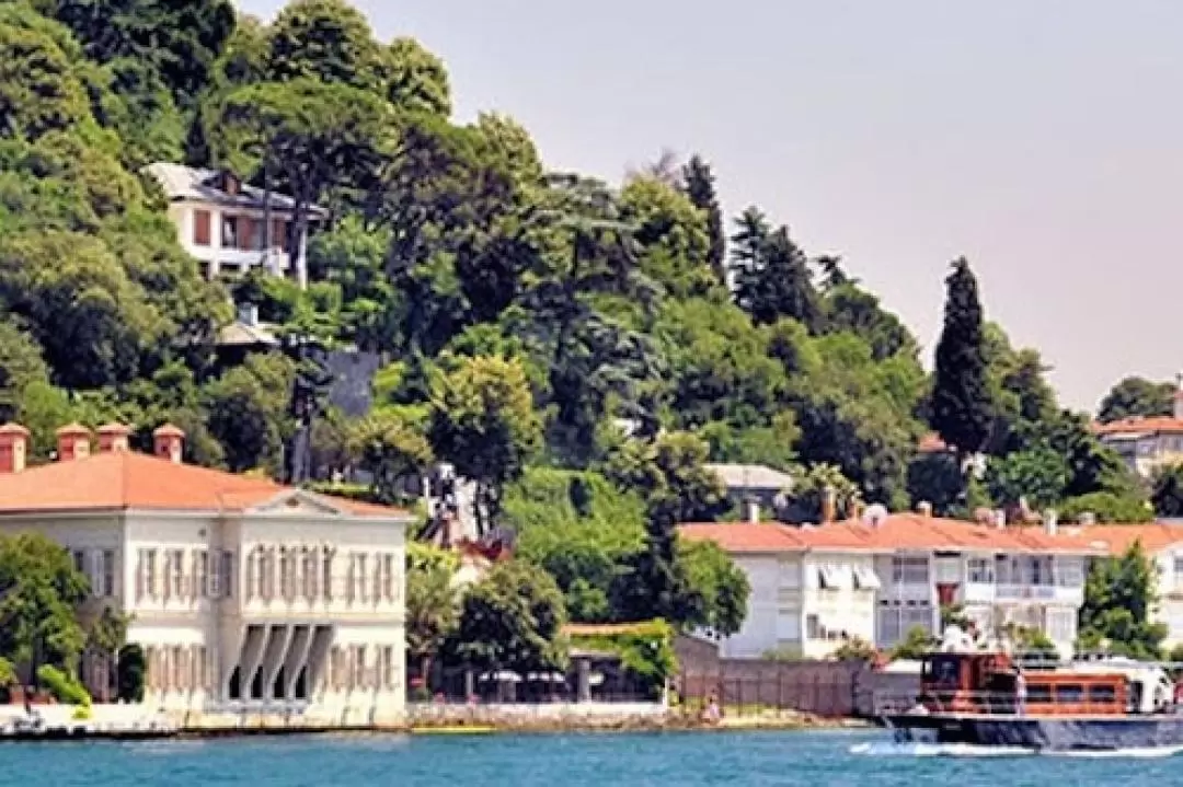 Istanbul City, Bosphorus Cruise and Bus Tour with Cable Car Admission