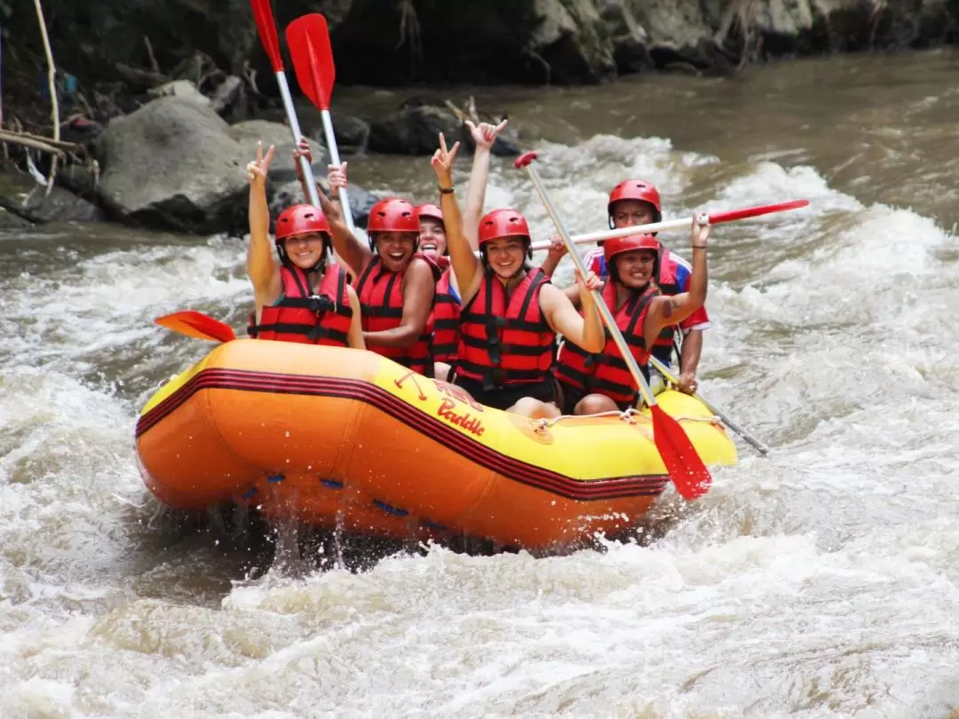 Ayung White Water Rafting