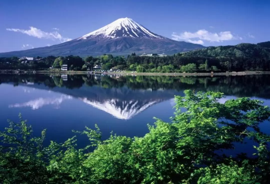 富士山・箱根 日帰りツアー（東京or新宿発）