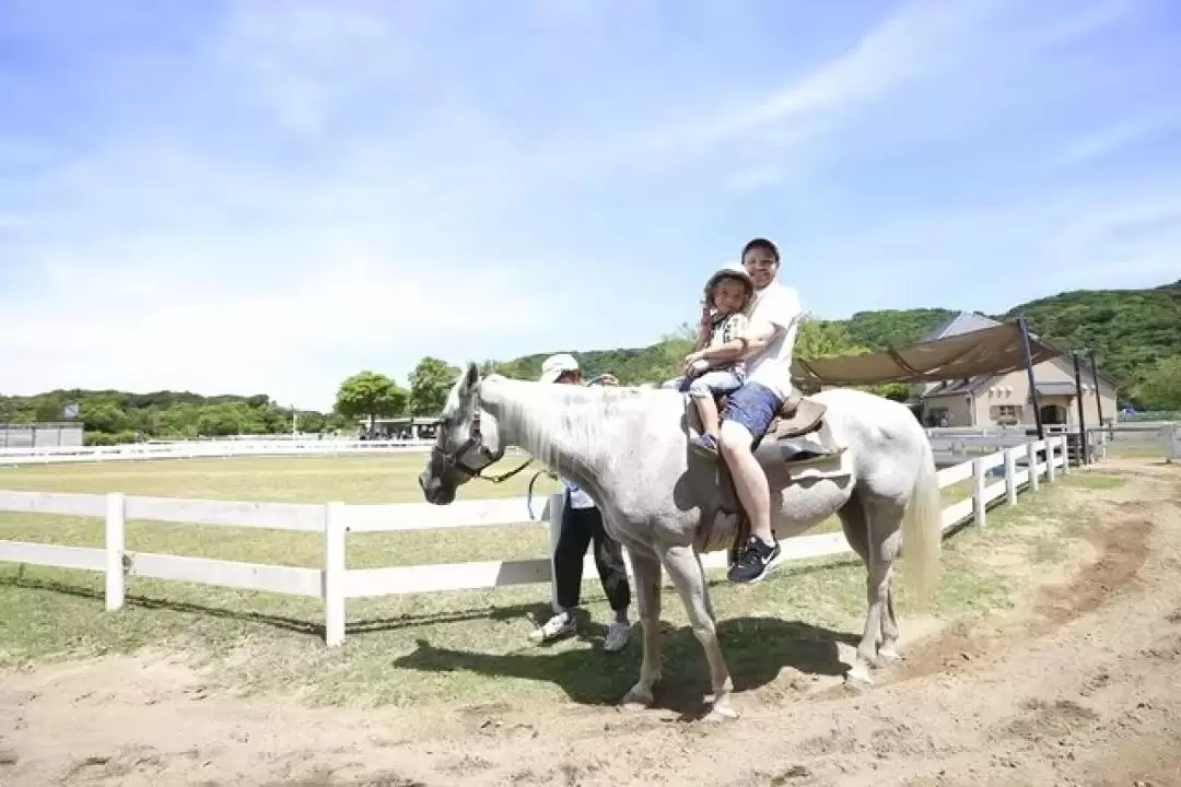 Awaji Farm Park England Hill Admission Ticket in Hyogo