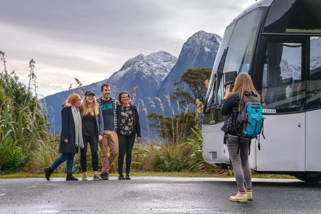 Milford Sound Vista Day Tour from Queenstown or Te Anau 