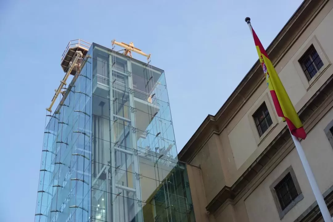 Madrid Reina Sofia Museum Guided Tour