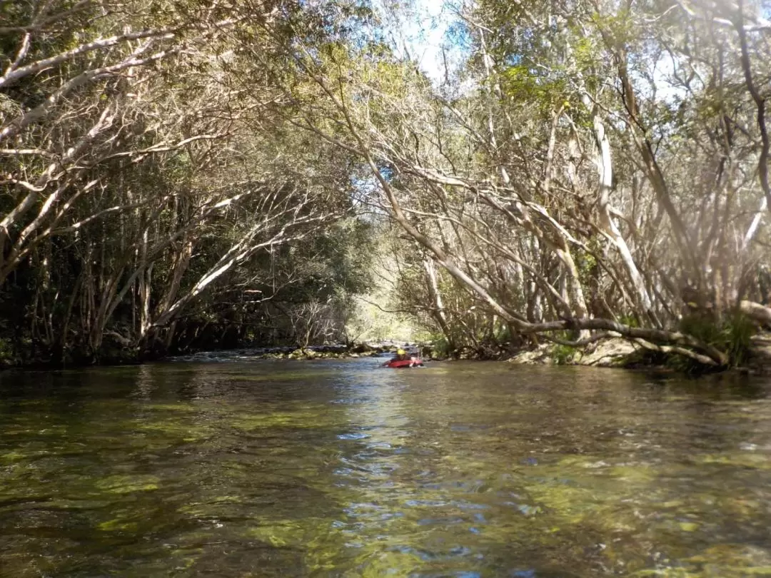 Half-Day River Tubing Experience from Cairns or Northern Beaches