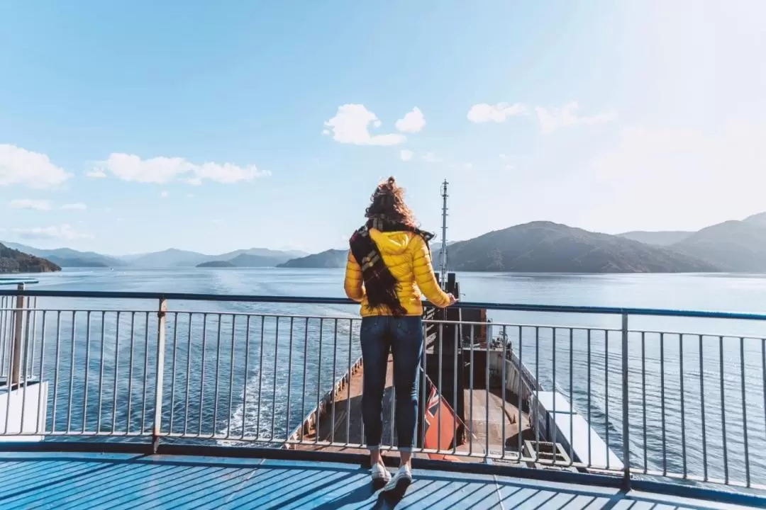 Ferry Ticket between Wellington and Picton by Bluebridge